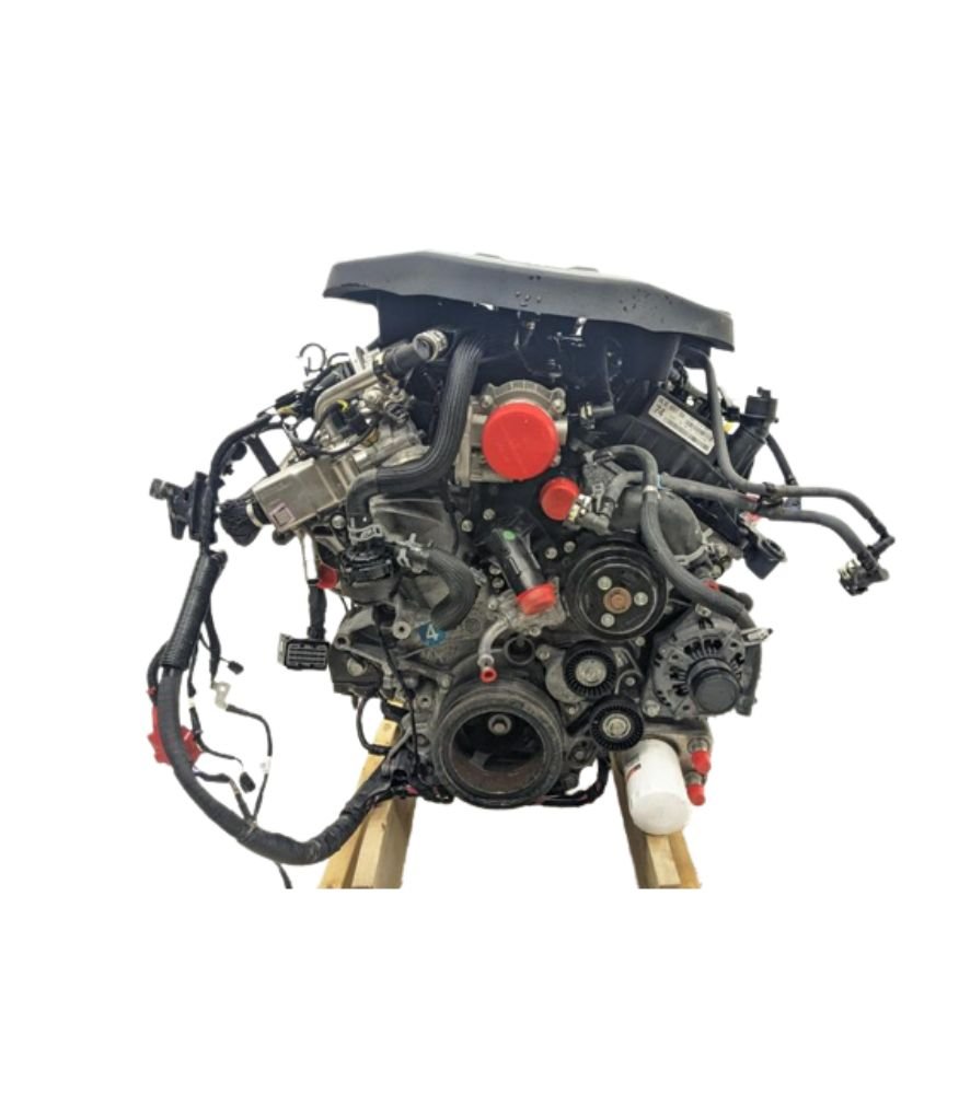 Used 2021 Ford Truck-F150 - Engine gasoline, 3.5L (turbo), VIN 8 (8th digit)
